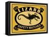 Lizard Safety Matches-Mark Rogan-Framed Stretched Canvas