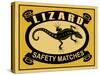 Lizard Safety Matches-Mark Rogan-Stretched Canvas