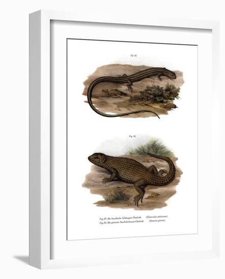 Lizard-null-Framed Giclee Print
