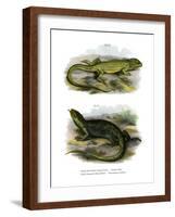 Lizard-null-Framed Giclee Print