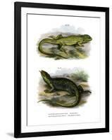 Lizard-null-Framed Giclee Print