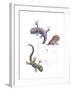 Lizards-null-Framed Giclee Print