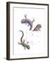 Lizards-null-Framed Giclee Print