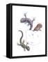 Lizards-null-Framed Stretched Canvas