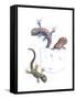 Lizards-null-Framed Stretched Canvas