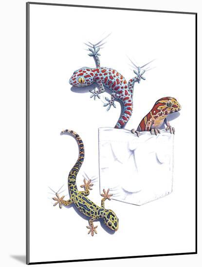 Lizards-null-Mounted Giclee Print