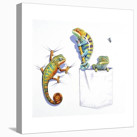 Lizards-null-Stretched Canvas