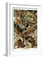 Lizards-Ernst Haeckel-Framed Art Print