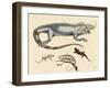 Lizards-null-Framed Giclee Print