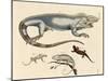 Lizards-null-Mounted Giclee Print