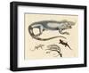 Lizards-null-Framed Giclee Print