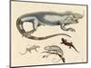 Lizards-null-Mounted Giclee Print