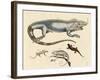 Lizards-null-Framed Giclee Print