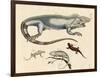 Lizards-null-Framed Giclee Print