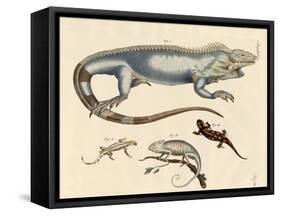 Lizards-null-Framed Stretched Canvas