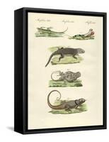 Lizards-null-Framed Stretched Canvas