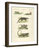 Lizards-null-Framed Giclee Print