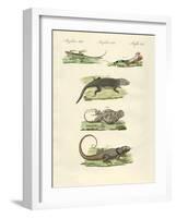 Lizards-null-Framed Giclee Print