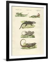 Lizards-null-Framed Giclee Print