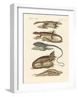 Lizards-null-Framed Giclee Print