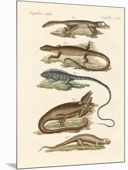 Lizards-null-Mounted Giclee Print