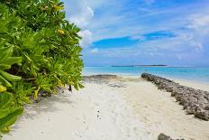 Tropical Beach and Water-Lizon-Framed Stretched Canvas