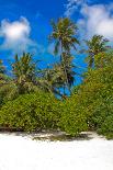 Beach (Maldives)-Lizon-Photographic Print