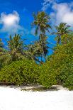 Tropical Beach and Water-Lizon-Framed Stretched Canvas