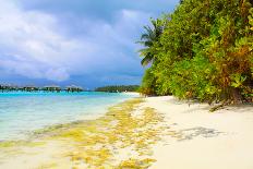 Tropical Beach and Water-Lizon-Framed Stretched Canvas