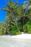 Tropical Beach and Water-Lizon-Mounted Photographic Print