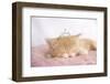 Lizzy-Rachael Hale-Framed Photo