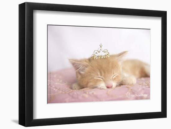 Lizzy-Rachael Hale-Framed Photo