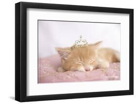 Lizzy-Rachael Hale-Framed Photo