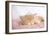 Lizzy-Rachael Hale-Framed Photo