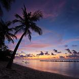 A View of a Beach with Palm Trees and Swing at Sunset, Kuredu Island, Maldives, Lhaviyani Atoll-Ljsphotography-Photographic Print