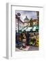 Ljubljana Central Market on a Saturday in Vodnikov Trg, Ljubljana, Slovenia, Europe-Matthew Williams-Ellis-Framed Photographic Print