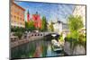 Ljubljana - Slovenia (Church and River Ljubljanica)-TTstudio-Mounted Photographic Print