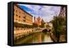 Ljubljana, the capital of Slovenia, Europe-Laura Grier-Framed Stretched Canvas