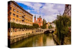 Ljubljana, the capital of Slovenia, Europe-Laura Grier-Stretched Canvas