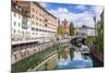 Ljubljana Triple Bridge and Franciscan Church of the Annunciation Reflected in Ljubljanica River-Matthew Williams-Ellis-Mounted Photographic Print