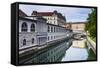 Ljubljana Triple Bridge (Tromostovje) and Ljubljanica River, Ljubljana, Slovenia, Europe-Matthew Williams-Ellis-Framed Stretched Canvas