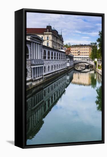 Ljubljana Triple Bridge (Tromostovje) and Ljubljanica River, Ljubljana, Slovenia, Europe-Matthew Williams-Ellis-Framed Stretched Canvas