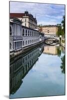 Ljubljana Triple Bridge (Tromostovje) and Ljubljanica River, Ljubljana, Slovenia, Europe-Matthew Williams-Ellis-Mounted Photographic Print