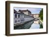 Ljubljana Triple Bridge (Tromostovje) and Ljubljanica River, Ljubljana, Slovenia, Europe-Matthew Williams-Ellis-Framed Photographic Print