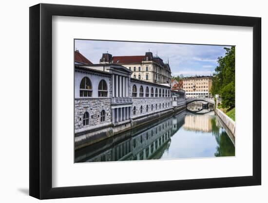 Ljubljana Triple Bridge (Tromostovje) and Ljubljanica River, Ljubljana, Slovenia, Europe-Matthew Williams-Ellis-Framed Photographic Print