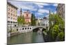 Ljubljanica River-Matthew Williams-Ellis-Mounted Photographic Print