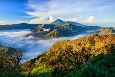 White Swan with Mount Fuji at Yamanaka Lake, Yamanashi, Japan-lkunl-Photographic Print