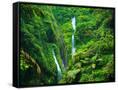 Canvas Black