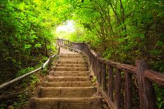 Stairway to Forest, Erawan National Park,Kanchanburi,Thailand-lkunl-Photographic Print