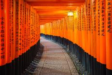 Torii Gates in Fushimi Inari Shrine, Kyoto, Japan-lkunl-Photographic Print